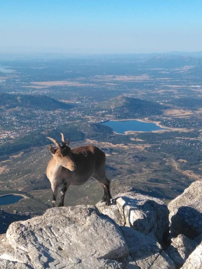 El Descanso De Odin ¡Una Autentica Posada Vikinga! ماتايلبينو المظهر الخارجي الصورة